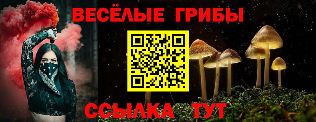 Галлюциногенные грибы мухоморы Старая Купавна
